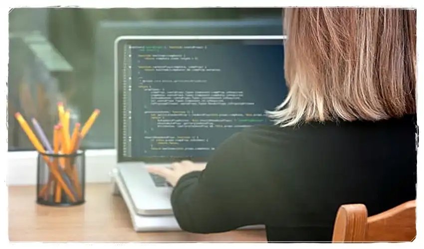 Eticaret Site Hizmeti | İstanbul Pendik Şeyhli Ramazanoğlu