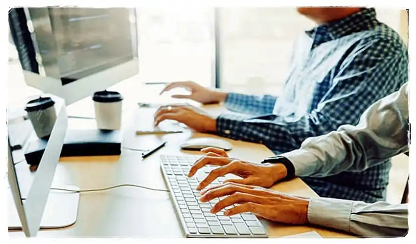 Web Site Hizmetleri | Isparta Gönen Güneykent Yenice